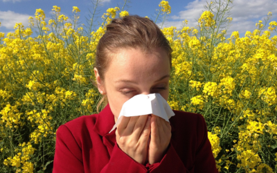 Oczyszczacz powietrza dla alergików 2023 – jaki wybrać?