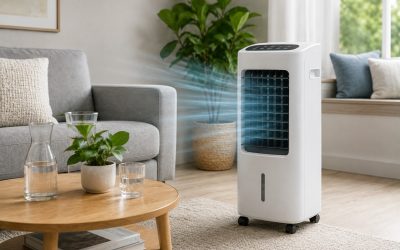 Co to jest klimator i kiedy warto go kupić?